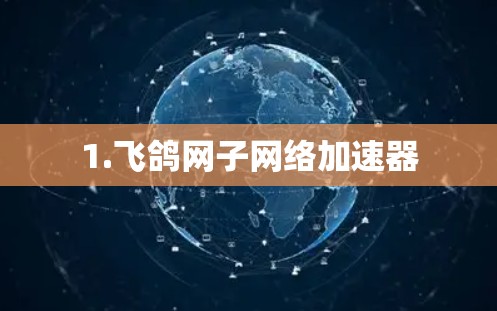 1.飞鸽网子网络加速器 1.飞鸽网子网络加速器
