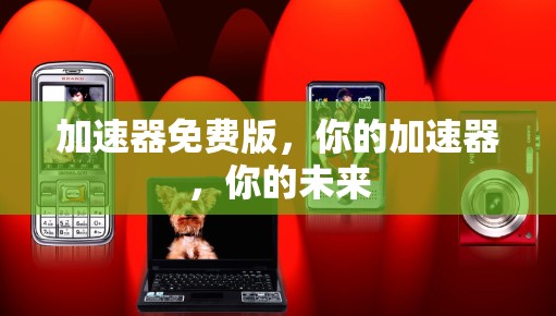 加速器免费版，你的加速器，你的未来