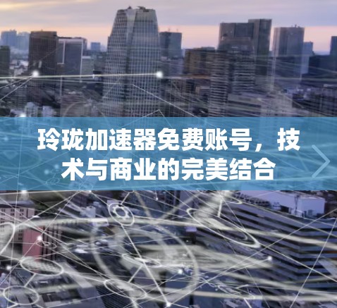 玲珑加速器免费账号,技术与商业的完美结合