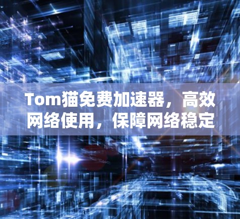 Tom猫免费加速器,高效网络使用,保障网络稳定