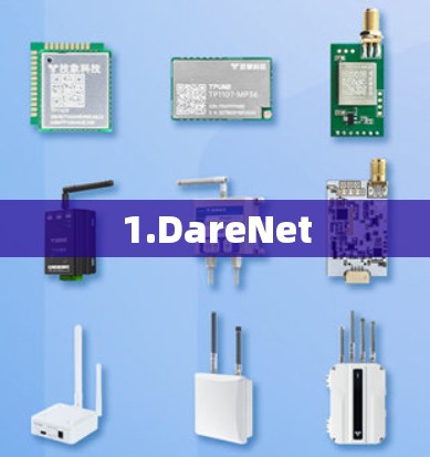 1.DareNet