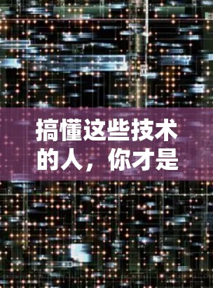 搞懂这些技术的人，你才是 Free！