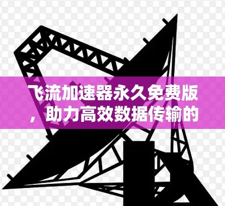 飞流加速器永久免费版，助力高效数据传输的网络加速解决方案