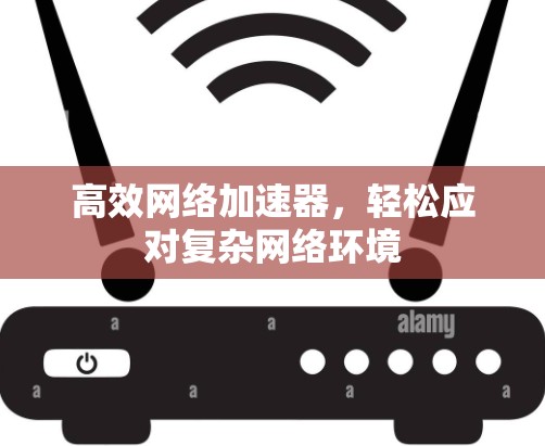 高效网络加速器,轻松应对复杂网络环境