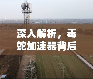 深入解析,毒蛇加速器背后的隐藏危险 深入解析,毒蛇加速器背后的隐藏危险