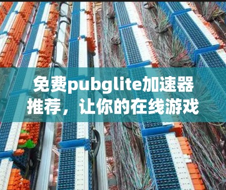 免费pubglite加速器推荐，让你的在线游戏世界更流畅