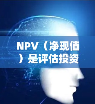 NPV（净现值）是评估投资或项目经济可行性的重要指标。它通过将未来现金流量按时间价值（即时间的货币价值）折现，计算出项目在特定条件下（如资本成本）的现值，然后减去初始投资，得出净现值