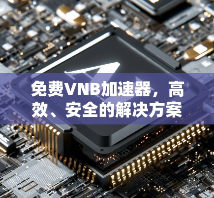 免费VNB加速器，高效、安全的解决方案