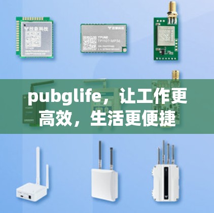 pubglife，让工作更高效，生活更便捷