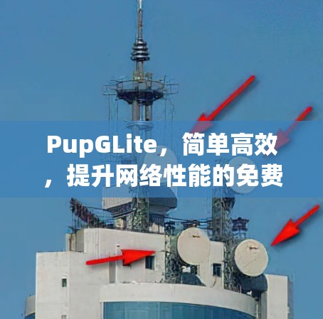 PupGLite，简单高效，提升网络性能的免费加速器
