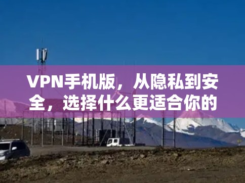 VPN手机版,从隐私到安全,选择什么更适合你的需求?